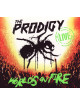 Prodigy (The) - Live-world's On Fire