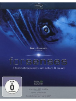 Blu/Elements Project - Forsenses