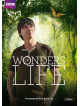 Wonders Of Life [Edizione: Regno Unito]