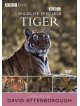 Wildlife Specials - Tiger [Edizione: Regno Unito]