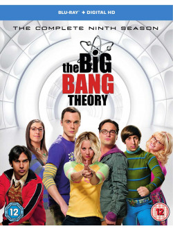 Big Bang Theory - Season 9 (2 Blu-Ray) [Edizione: Regno Unito]