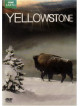 Yellowstone: Tales From The Wild [Edizione: Regno Unito]