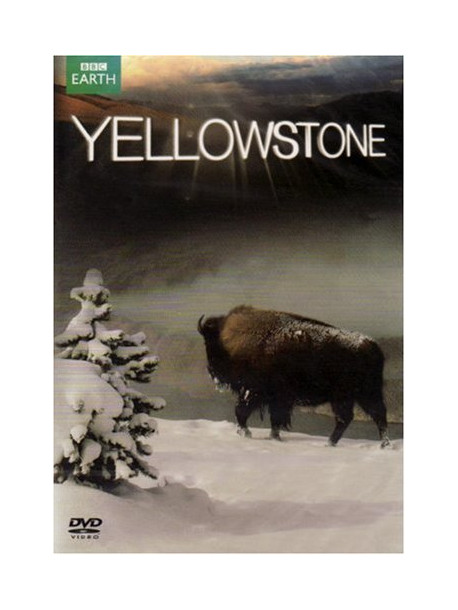 Yellowstone: Tales From The Wild [Edizione: Regno Unito]