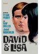 David E Lisa