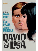 David E Lisa