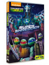 Teenage Mutant Ninja Turtles - Season 04 04