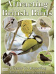 Attracting British Birds [Edizione: Regno Unito]