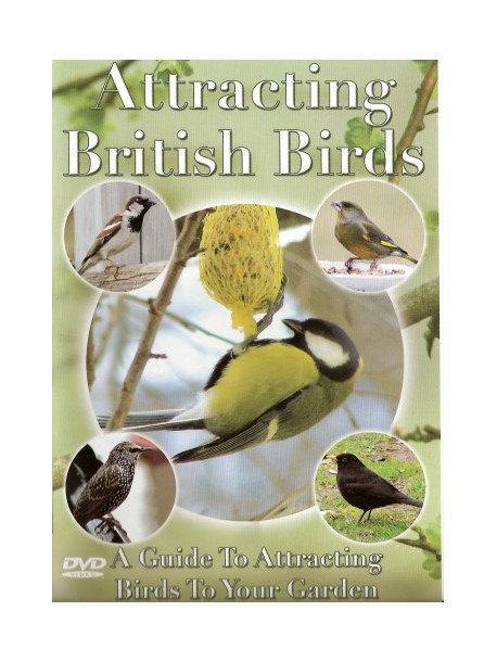 Attracting British Birds [Edizione: Regno Unito]