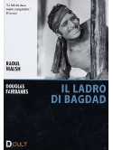 Ladro Di Bagdad (Il) (1924)