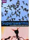 Superswarms - Le Incredibili Invasioni Della Natura