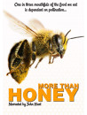 More Than Honey [Edizione: Regno Unito]