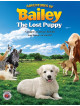 Adventures Bailey The Lost Puppy [Edizione: Regno Unito]