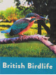 British Birdlife [Edizione: Regno Unito]