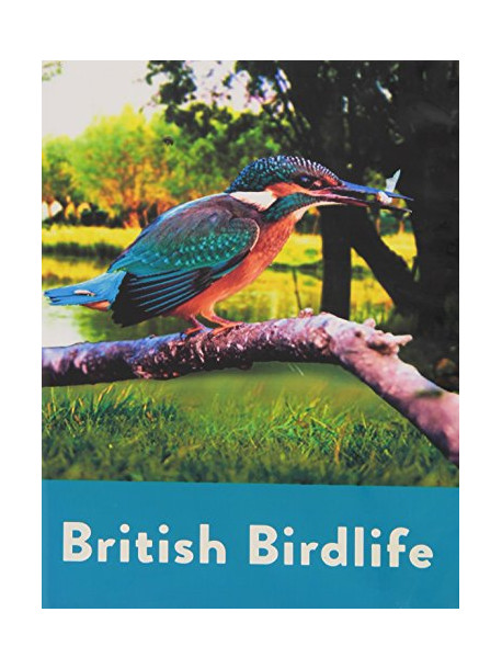 British Birdlife [Edizione: Regno Unito]