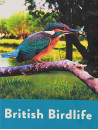 British Birdlife [Edizione: Regno Unito]