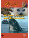 Wildest Arctic  Antarctica [Edizione: Regno Unito]