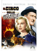 Circo Delle Meraviglie (I)