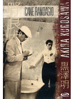 Cane Randagio