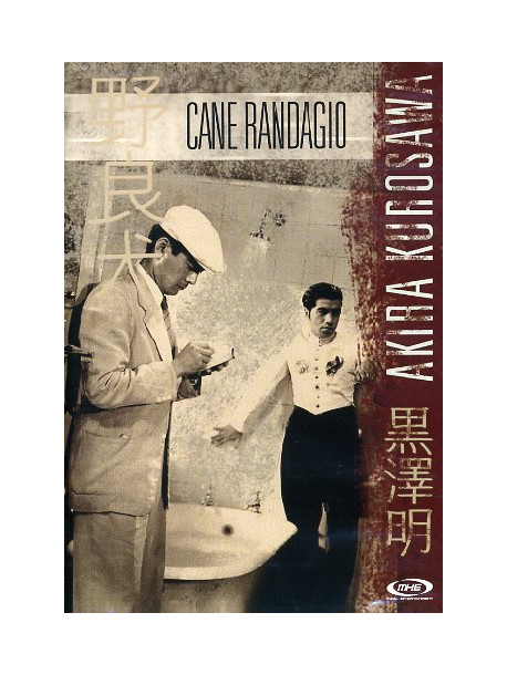 Cane Randagio