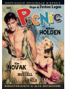 Picnic