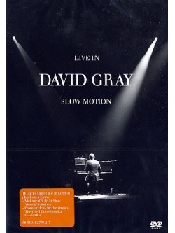 David Gray - Live In Slow Motion