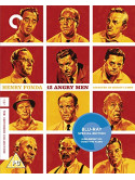 12 Angry Men (Criterion Collection) [Edizione: Regno Unito]