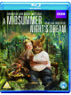 A Midsummer Nights Dream [Edizione: Regno Unito]