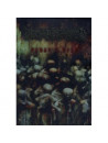 Decapitated - Human S Dust (metal Box)
