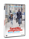 Famiglia All'Improvviso - Istruzioni Non Incluse