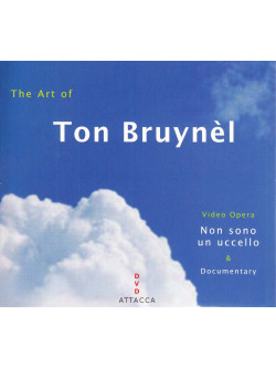 Ton Bruynel - The Art Of