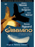 Gabbiano (Il)
