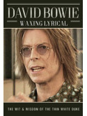 David Bowie - Waxing Lyrical (2 Dvd)