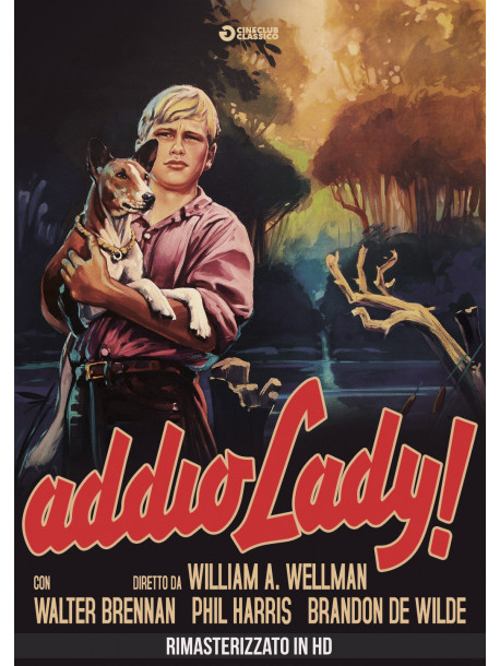 Addio Lady! (Rimasterizzato In Hd)