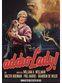 Addio Lady! (Rimasterizzato In Hd)