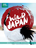 Documentary/Bbc Earth - Wild Japan [Edizione: Paesi Bassi]