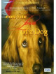 For The Love Of A Dog