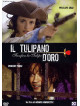 Tulipano D'Oro (Il)