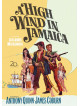 High Wind In Jamaica A [Edizione: Regno Unito]