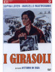 Girasoli (I)