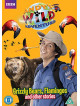 Andys Wild Adventures  Grizzly [Edizione: Regno Unito]