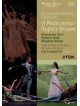 Midsummer Night's Dream