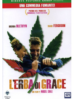 Erba Di Grace (L')