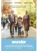 Wonder