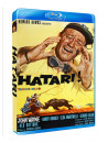 Hatari