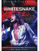 Whitesnake - Slide It In