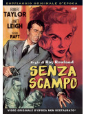 Senza Scampo