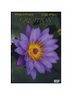 Alfano/Perera - Creation