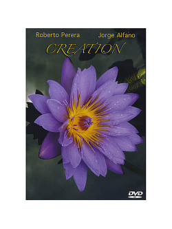 Alfano/Perera - Creation
