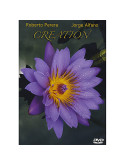 Alfano/Perera - Creation