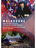 Berliner Philharmoni - Waldbuhne 1993 - Russian Night